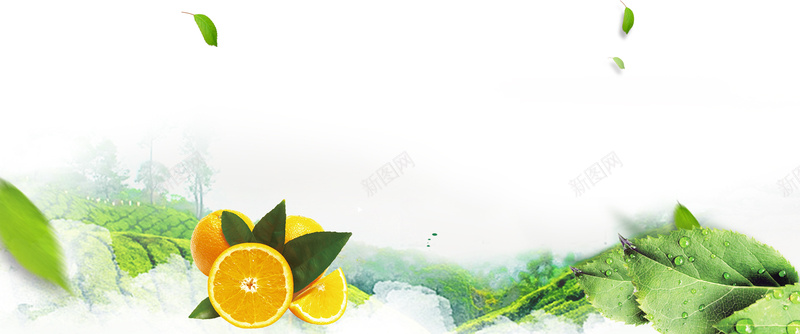 夏季水果橙子促销文艺小清新清凉一夏白色背jpg设计背景_88icon https://88icon.com 水果背景 小清新 水果节 文艺 水果 素材 广告 背景 设计 水果广告 橙子促销 树叶 云层