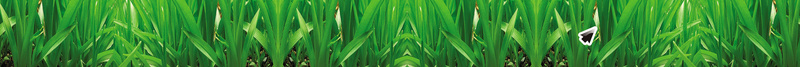 商场周年店庆海报psd设计背景_88icon https://88icon.com 周年庆 广告 生日蛋糕 草地 热气球 彩虹 城市风景 庆典 浪漫 梦幻