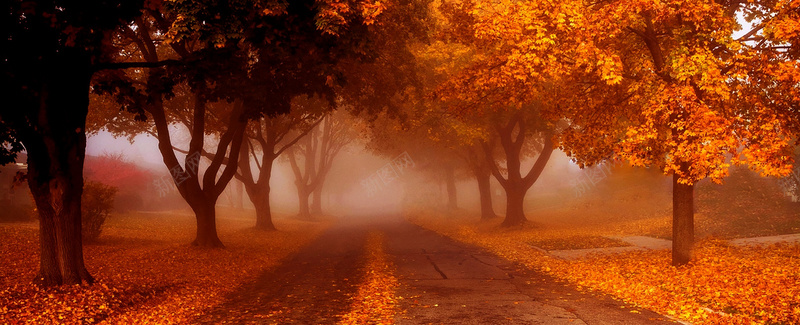 秋季浪漫风景背景背景