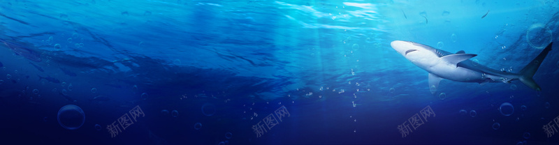 创意海底背景psd设计背景_88icon https://88icon.com 创意海报 海底背景 女装 首页海报 海报banner 淘宝女装首页全屏创意海报 浪漫 梦幻