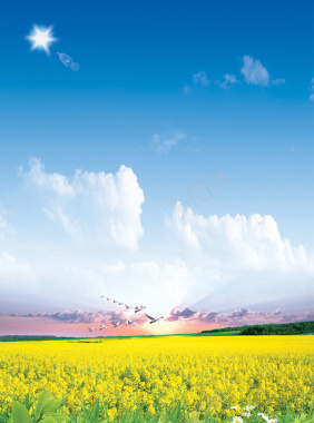 白云云朵蓝天油菜花背景素材背景