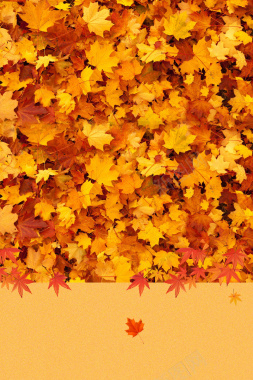 秋季促销海报背景素材背景