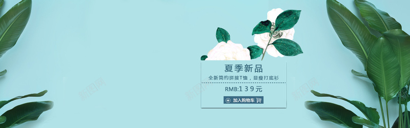 清新简约淘宝背景jpg设计背景_88icon https://88icon.com 清新背景 蓝色背景 叶子 大叶 花朵 海报banner 文艺 小清新 简约