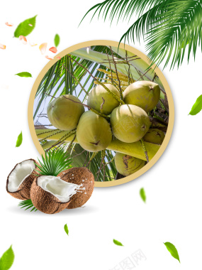 进口鲜甜新鲜椰子商业海报背景