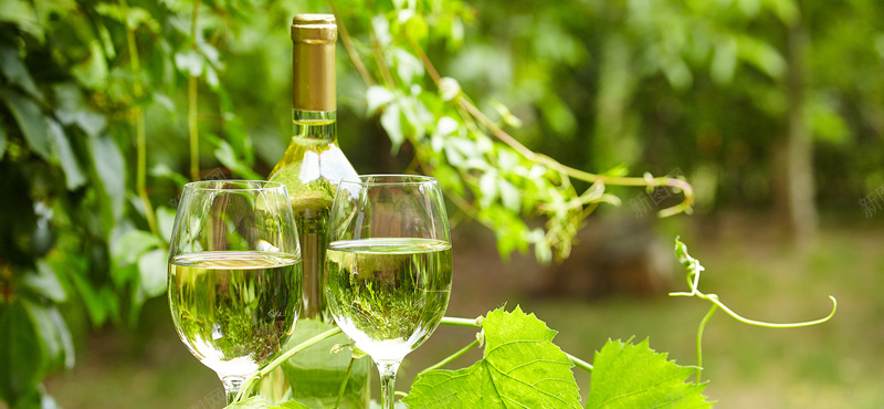 葡萄酒背景背景