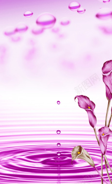 紫色康乃馨美容瑜伽意境背景背景