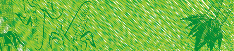 绿色手绘创意玉米粮食树叶草地背景素材psd设计背景_88icon https://88icon.com 创意 手绘 树叶 玉米 粮食 素材 绿色 背景 草地 草地ps素材