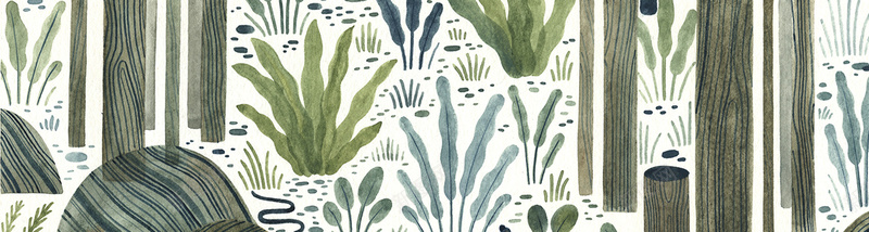 植物水彩手绘背景