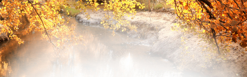 烟雾河边背景jpg设计背景_88icon https://88icon.com 烟雾背景 雾霾背景 河边背景 树林背景 树木背景 森林背景 树叶背景 河流背景 海报banner 摄影 风景