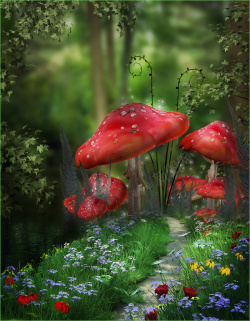魔幻森林魔幻森林蘑菇背景高清图片