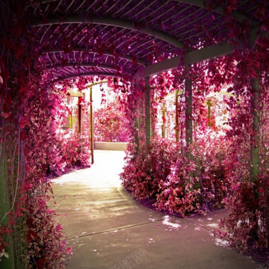 浪漫粉色花长廊背景