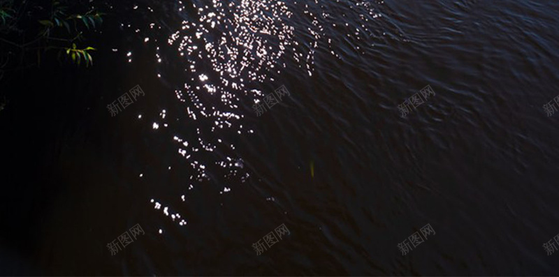 耀眼阳光与树木湖景H5素材背景jpg设计背景_88icon https://88icon.com 阳光 光线 水面 树木 湖景 风景 摄影 H5素材
