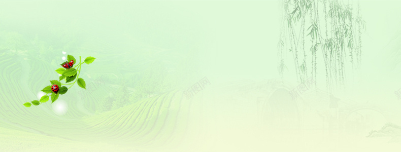 淘宝清新详情页海报背景psd设计背景_88icon https://88icon.com 详情页海报 垂柳 树叶 清新 背景 淘宝 文艺 小清新 简约