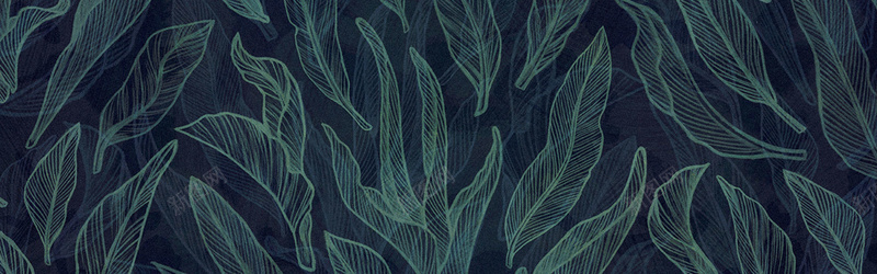 树叶纹理背景背景