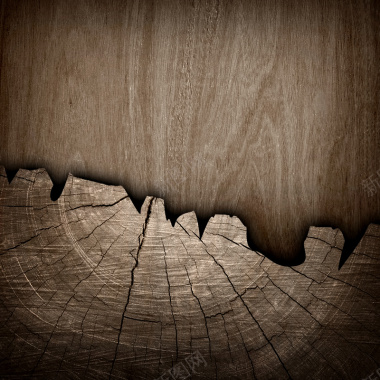 木年轮木板底纹背景素材背景