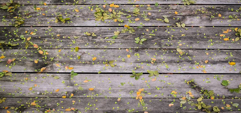 彩色叶子木板背景背景