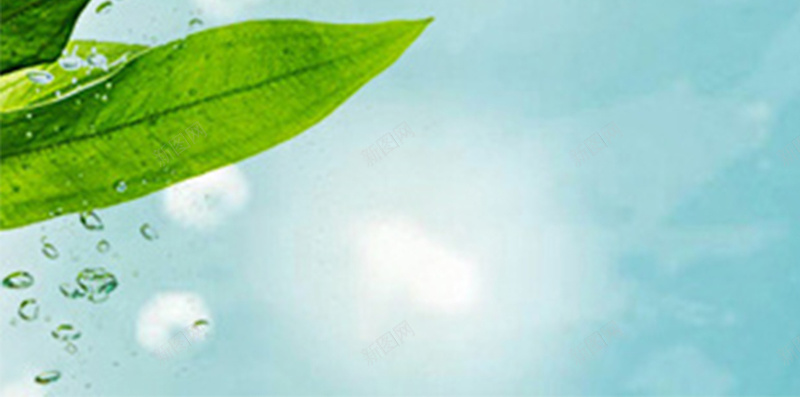 清新自然绿色H5图jpg设计背景_88icon https://88icon.com 叶子 植物 清新 绿色 自然 化妆品 天然 简约 自然叶子H5素材
