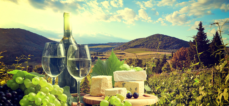 葡萄酒背景背景