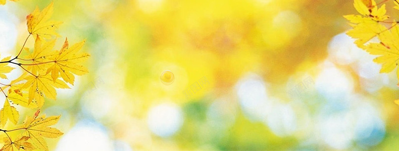 金秋树叶黄色详情页海报背景背景
