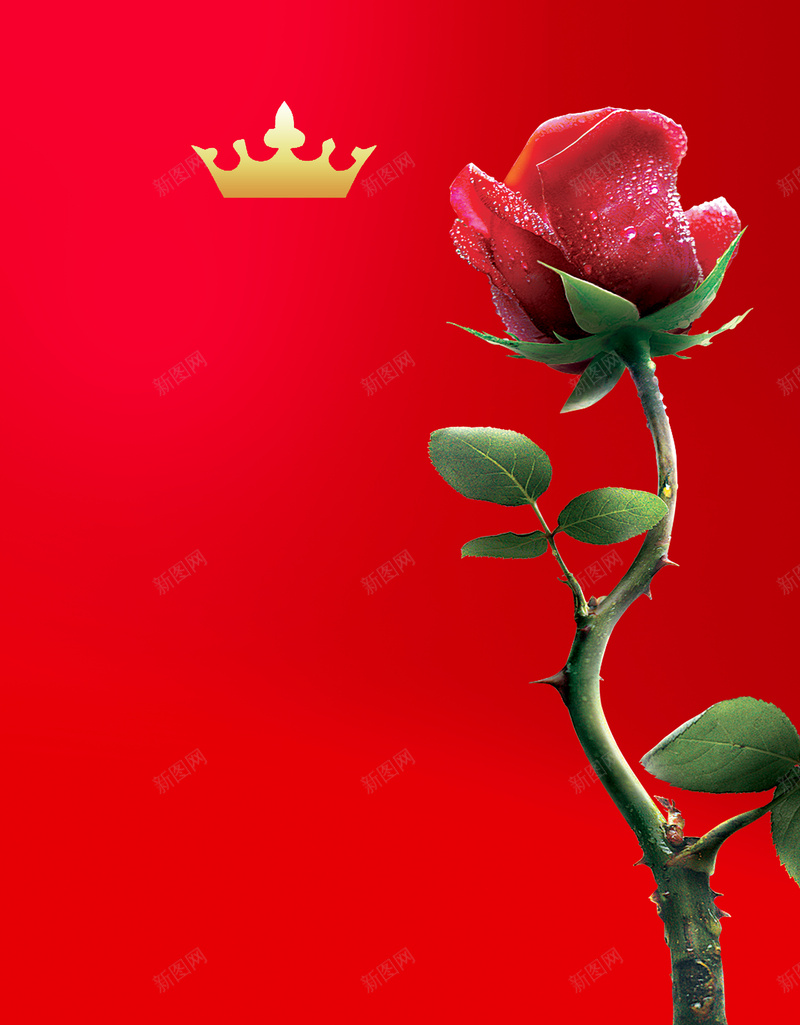 红色花朵女王节促销宣传海报背景素材psd设计背景_88icon https://88icon.com 女王节 促销 玫瑰 红色 花朵 皇冠 宣传 海报 背景 素材