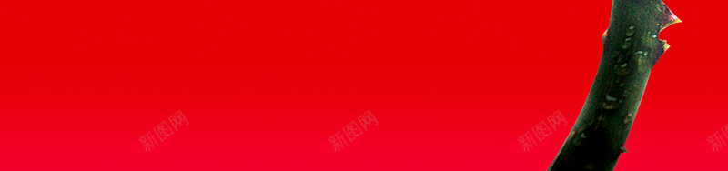 红色花朵女王节促销宣传海报背景素材psd设计背景_88icon https://88icon.com 女王节 促销 玫瑰 红色 花朵 皇冠 宣传 海报 背景 素材
