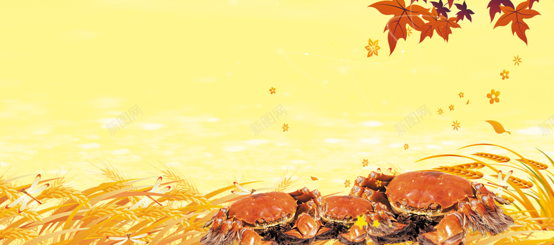 金秋蟹展海报背景素材背景