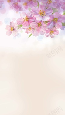 粉色背景的桃花盛开H5背景背景