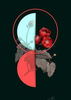 黑底红花黑底花卉海报素材高清图片