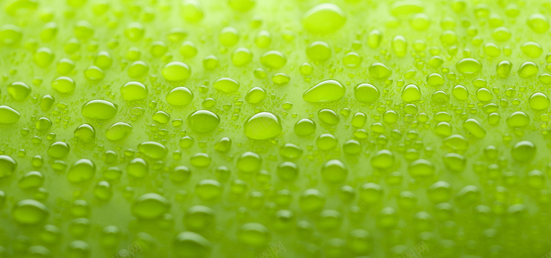 绿色水珠背景