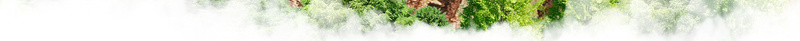 夏季草莓采摘宣传海报psd设计背景_88icon https://88icon.com 夏季 宣传 海报 草莓 采摘 水果 底纹 水果店 绿叶 背景 素材
