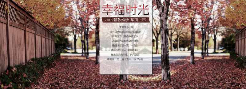 浪漫背景psd设计背景_88icon https://88icon.com 新品上市 浪漫背景 婚纱 树荫 落叶 秋季 海报banner 浪漫 梦幻
