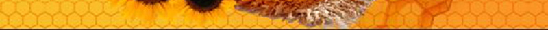 矢量创意蜂蜜美食海报背景素材psd设计背景_88icon https://88icon.com 广告设计模板 创意 蜂巢 蜂蜜 蜜蜂 蜂蜜宣传推广海报 清新美食商用海报 太阳花