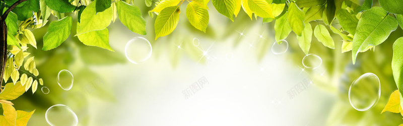 春天绿色背景jpg设计背景_88icon https://88icon.com 绿叶 水珠 光线 海报banner 摄影 风景