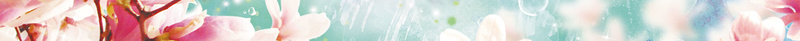 粉色唯美手绘桃花夏季新品海报背景素材psd设计背景_88icon https://88icon.com 水彩桃花 清新 蓝粉色 小鸟 蓝天 上海桃花节 桃花朵朵 夏季 夏季新品 新品首发