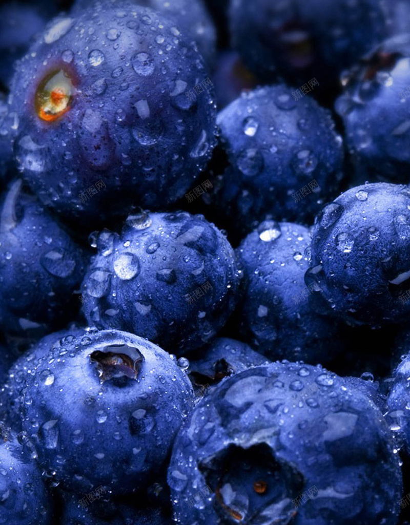 清新水果水珠美食H5背景jpg设计背景_88icon https://88icon.com 水珠 清新 水果 美食 蓝莓 蓝色 H5 h5 文艺 小清新 简约