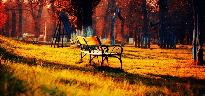 秋天公园长椅背景
