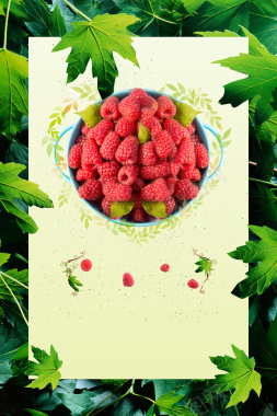 绿叶覆盆子树莓水果广告海报背景素材背景