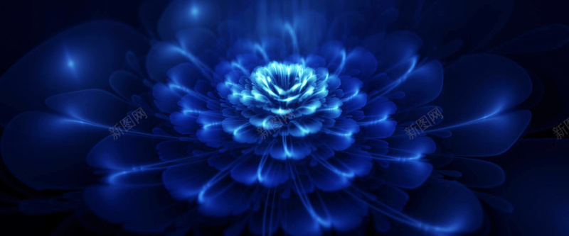 蓝色光线花朵海报bannerjpg设计背景_88icon https://88icon.com 花朵海报 光线 海报 花朵 蓝色 蓝色光线 组合 蓝色花朵 蓝色海报