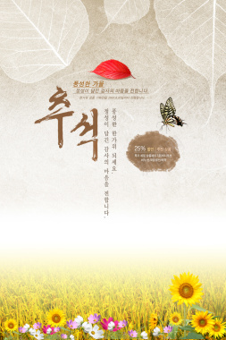 韩国风花朵背景素材背景