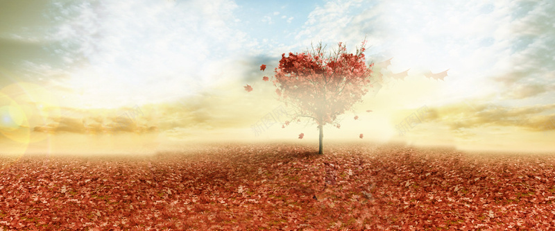 秋季落叶背景psd设计背景_88icon https://88icon.com 海报banner 女装背景 落叶背景 秋季 黄色