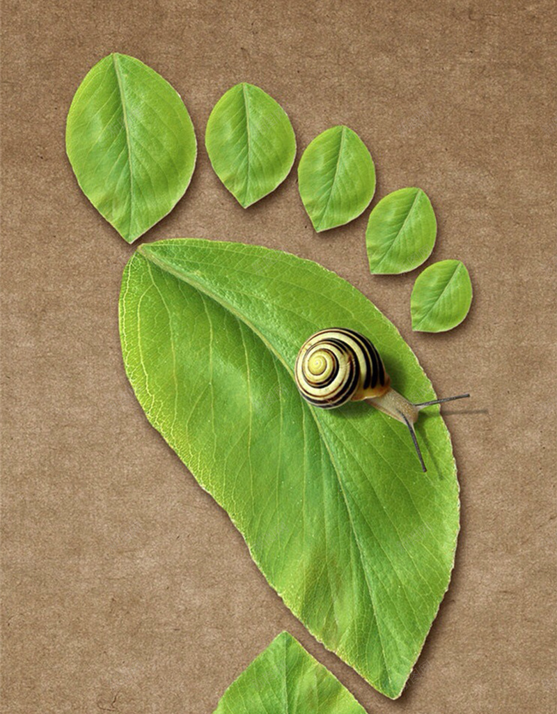 棕色背景上的叶子H5素材jpg设计背景_88icon https://88icon.com 棕色背景 创意 动物 叶子 蜗牛 H5素材 叶子足印