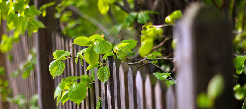 木栅栏绿色植物清新背景背景