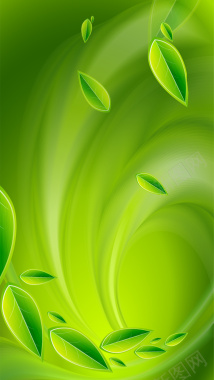 绿色树叶清新水珠H5背景素材背景