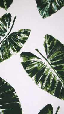 绿叶H5背景背景