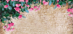 咖啡色渐隐树叶玫瑰文化砖墙背景高清图片