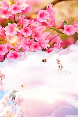 春季桃花开唯美春天醉美樱花节春季旅游高清图片