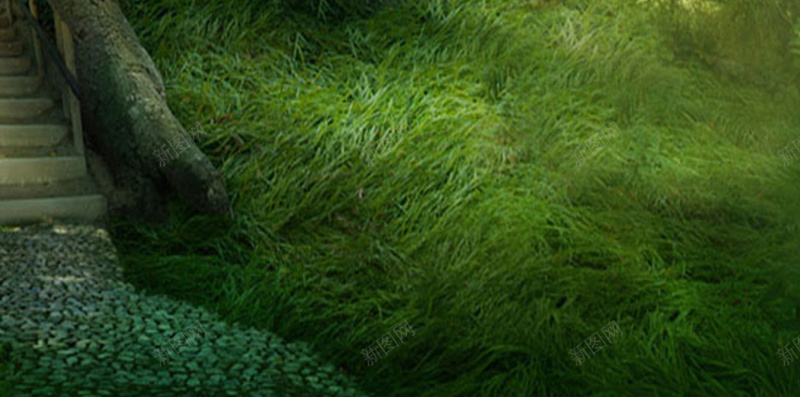 树林深处素材背景jpg设计背景_88icon https://88icon.com 大自然 光线 树林 梦幻 绿色 H5素材 开心 快乐 浪漫