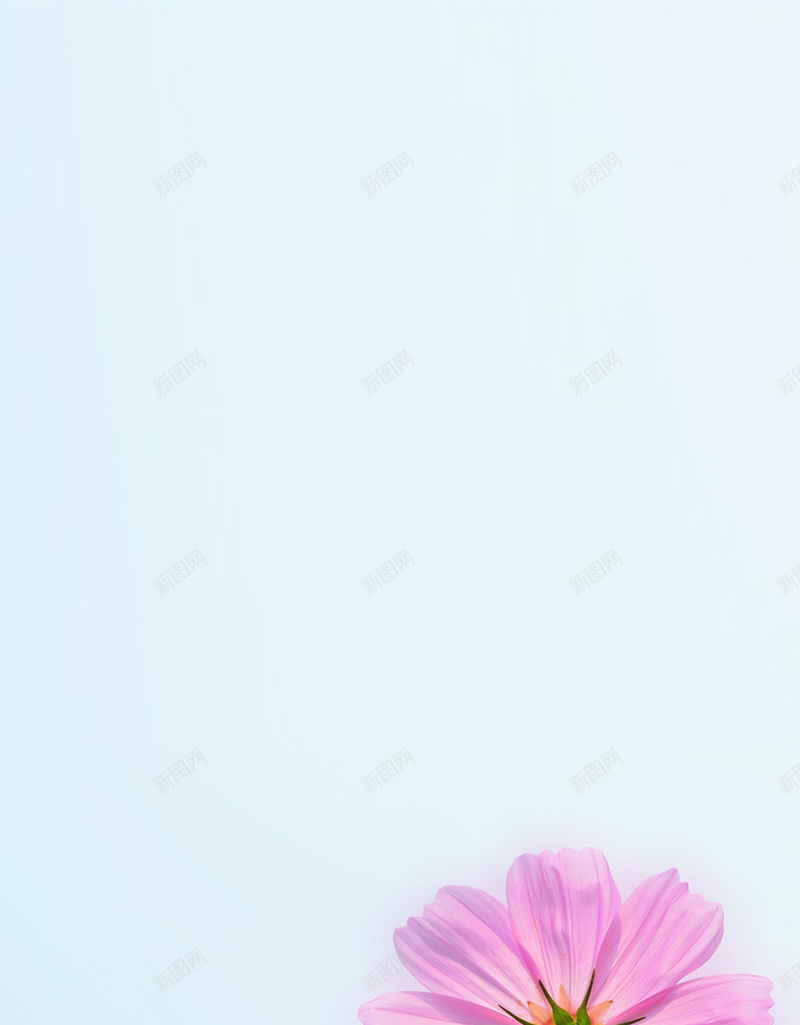 淡蓝色小清新粉色花朵H5背景素材jpg设计背景_88icon https://88icon.com 小清新 淡蓝色 粉色花朵 开心 快乐 H5 摄影 风景