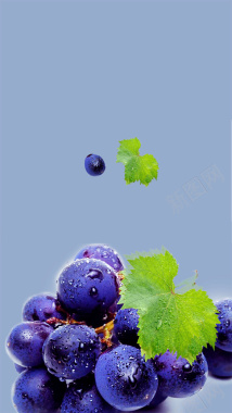 蓝色葡萄文艺天然水果H5背景素材背景