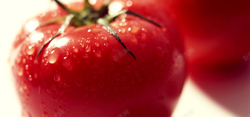 西红柿静物摄影背景背景